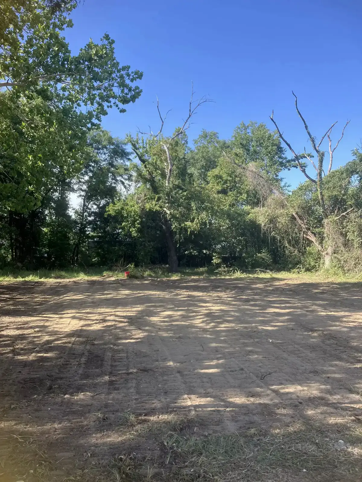 Land Clearing in West Columbia, SC